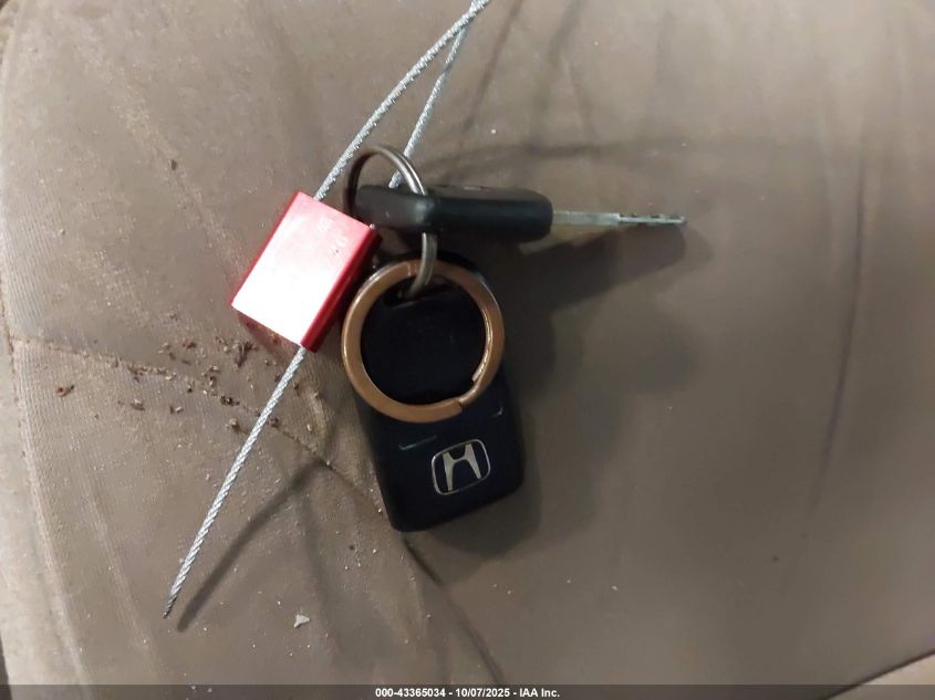 2007 Honda Odyssey Ex VIN: 5FNRL38407B073940 Lot: 43365034