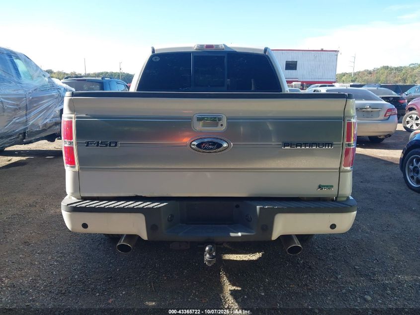 2010 Ford F-150 Fx4/Harley-Davidson/King Ranch/Lariat/Platinum/Xl/Xlt VIN: 1FTFW1EVXAFB82047 Lot: 43365722