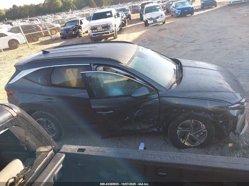 2025 Hyundai Tucson Hybrid Blue VIN: KM8JBDD12SU339164 Lot: 43365935