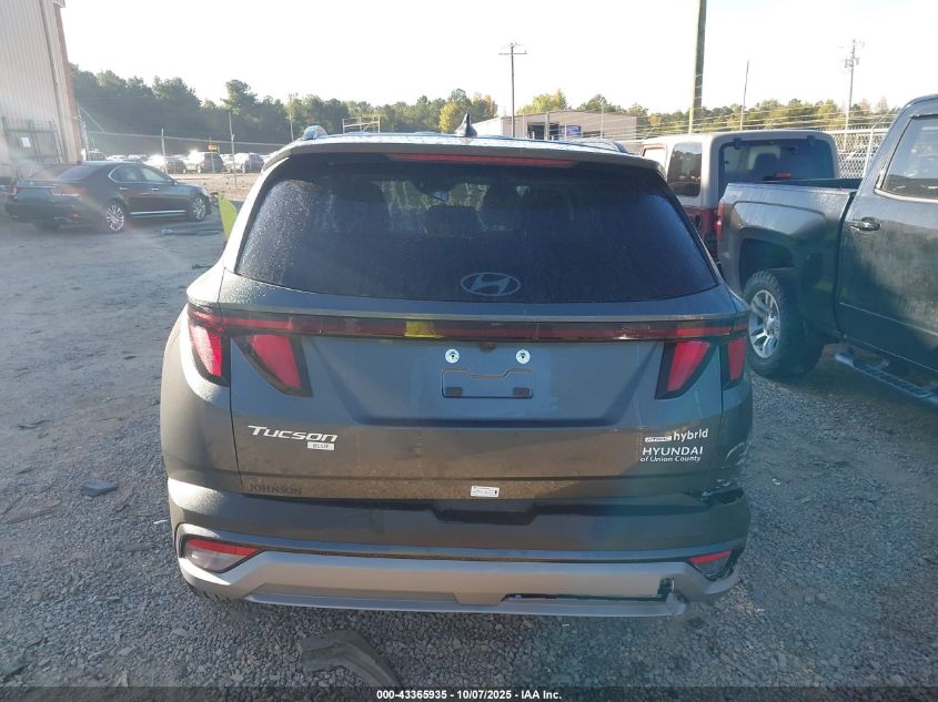 2025 Hyundai Tucson Hybrid Blue VIN: KM8JBDD12SU339164 Lot: 43365935