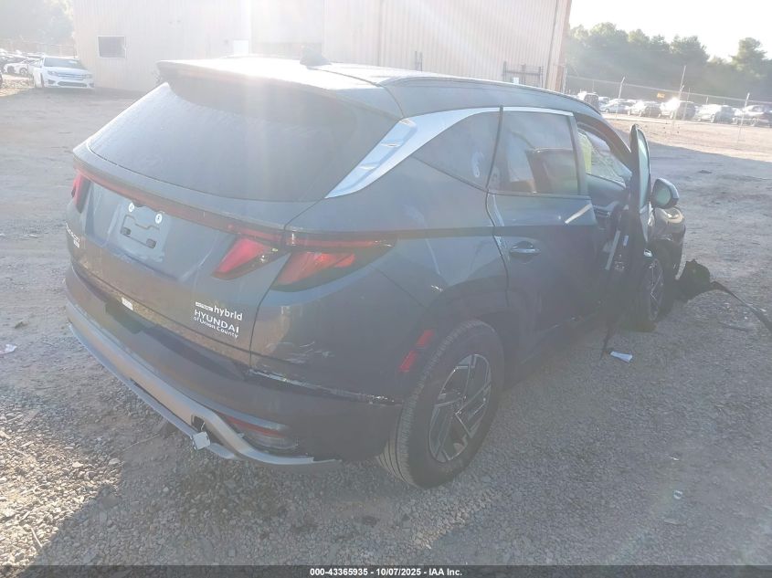 2025 Hyundai Tucson Hybrid Blue VIN: KM8JBDD12SU339164 Lot: 43365935
