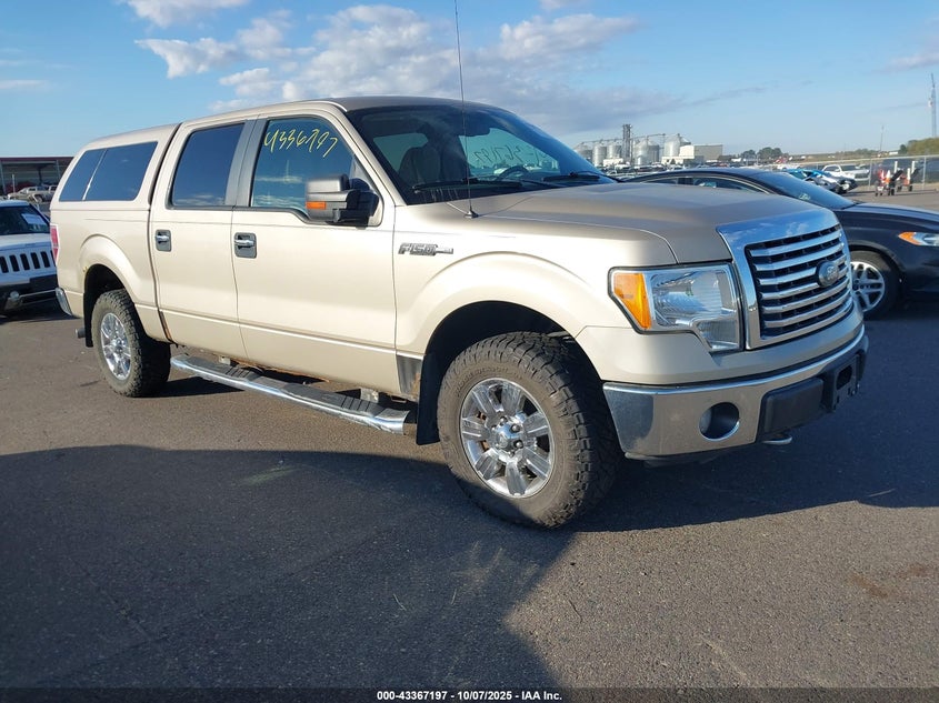 FORD F-150 FX4/HARLEY-DAVIDSON/KING RANCH/LARIAT/PLATINUM/XL/XLT