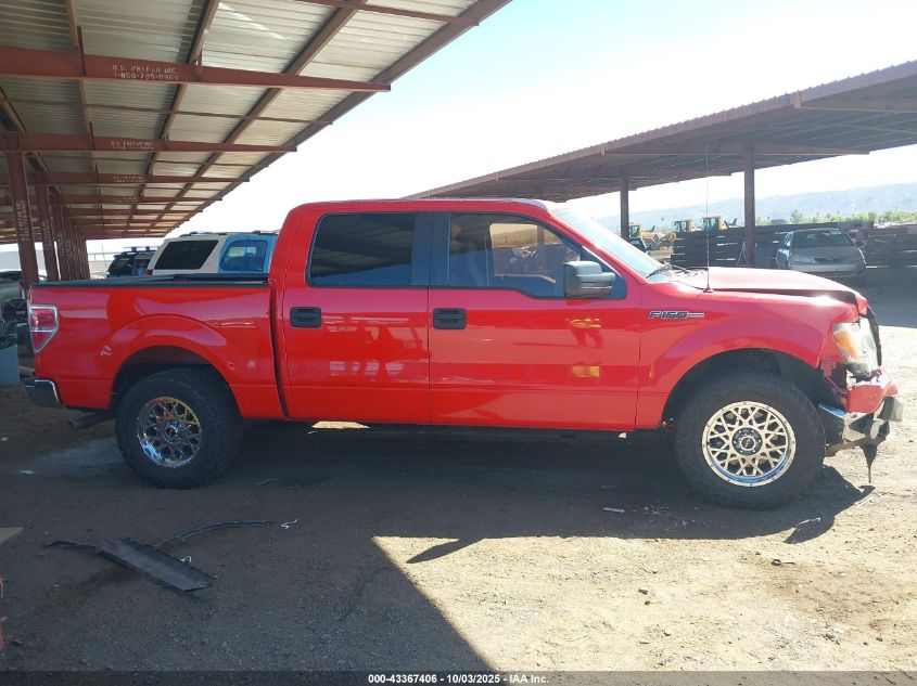 2014 Ford F-150 Xlt VIN: 1FTFW1CF4EKE24503 Lot: 43367406