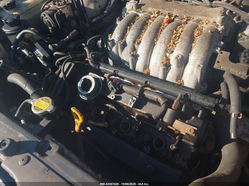 2003 Hyundai Santa Fe Gls/Lx VIN: KM8SC73E73U549817 Lot: 43367426