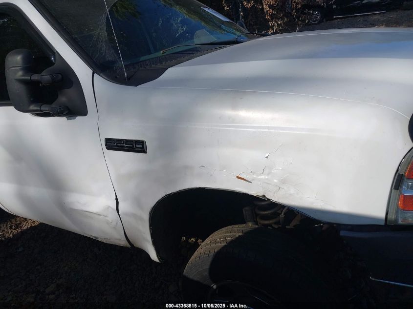 2005 Ford F-250 Xl/Xlt VIN: 1FTNF21555EA09040 Lot: 43368815