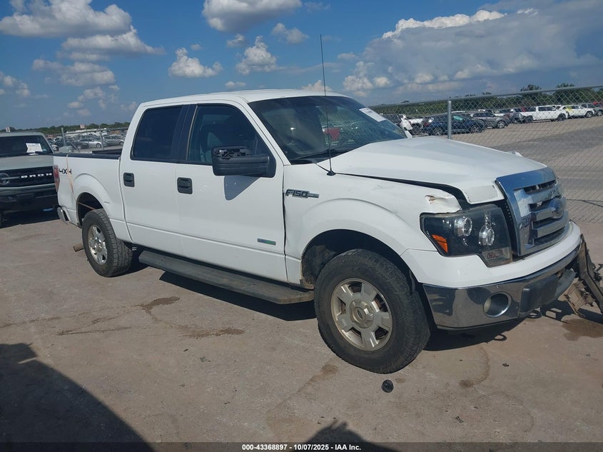 FORD F-150 XLT