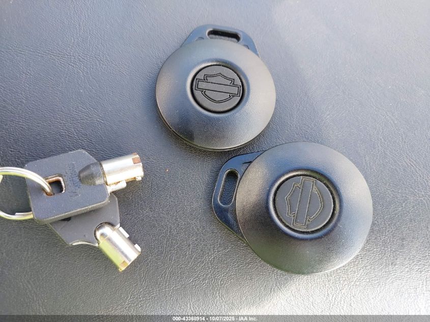 2003 Harley-Davidson Flstci Anniversary VIN: 1HD1BWB423Y059055 Lot: 43368914