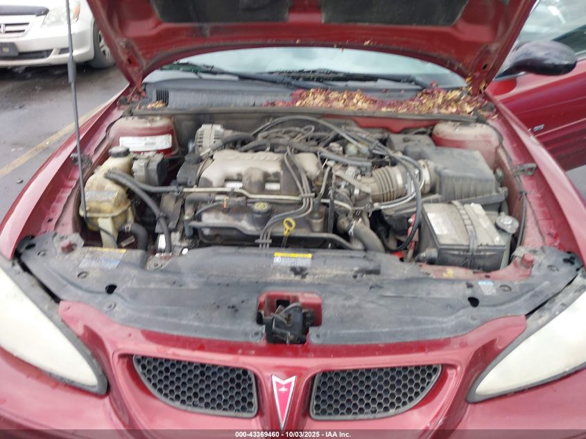 2002 Pontiac Grand Am Se1 VIN: 1G2NF12E42C186876 Lot: 43369460