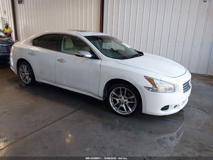 2009 Nissan Maxima 3.5 S VIN: 1N4AA51E59C855173 Lot: 43369911