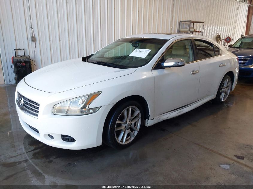 2009 Nissan Maxima 3.5 S VIN: 1N4AA51E59C855173 Lot: 43369911