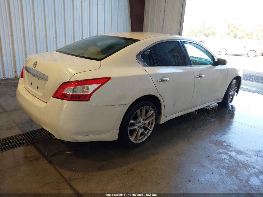 2009 Nissan Maxima 3.5 S VIN: 1N4AA51E59C855173 Lot: 43369911