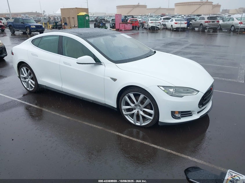 TESLA MODEL S PERFORMANCE