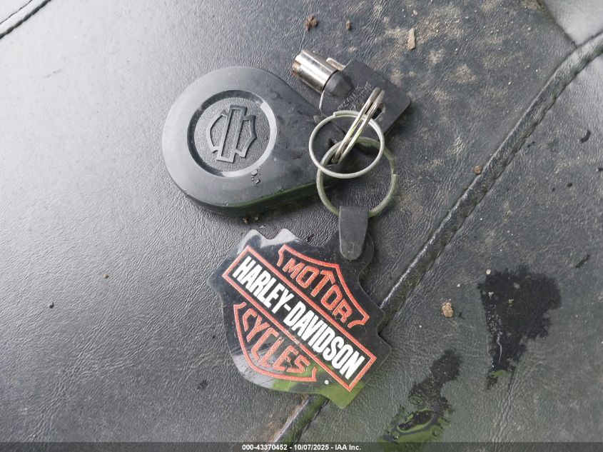 2019 Harley-Davidson Flhx VIN: 1HD1KBC19KB608796 Lot: 43370452