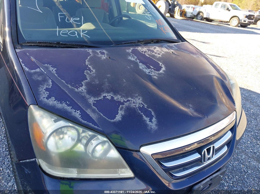 2007 Honda Odyssey Lx VIN: 5FNRL38207B135626 Lot: 43371161