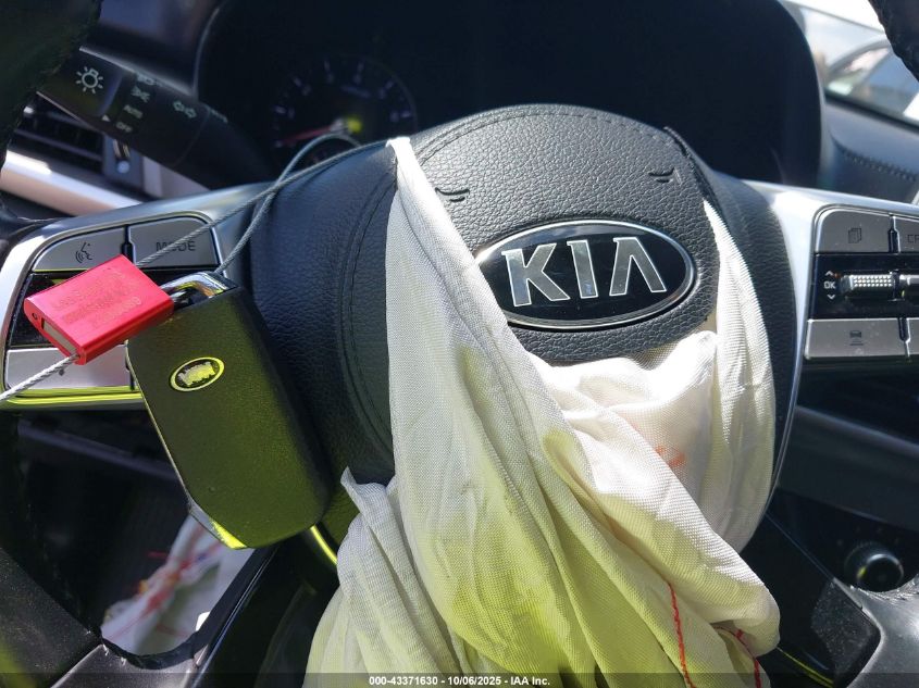 2020 Kia Telluride Lx VIN: 5XYP24HC1LG088165 Lot: 43371630