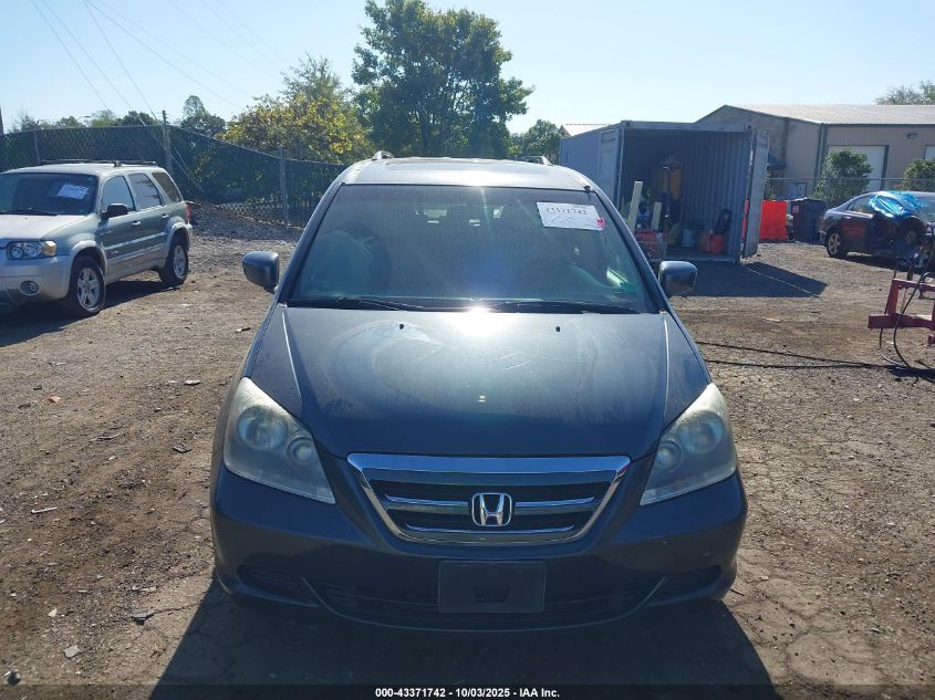 2005 Honda Odyssey Ex-L VIN: 5FNRL38795B089609 Lot: 43371742