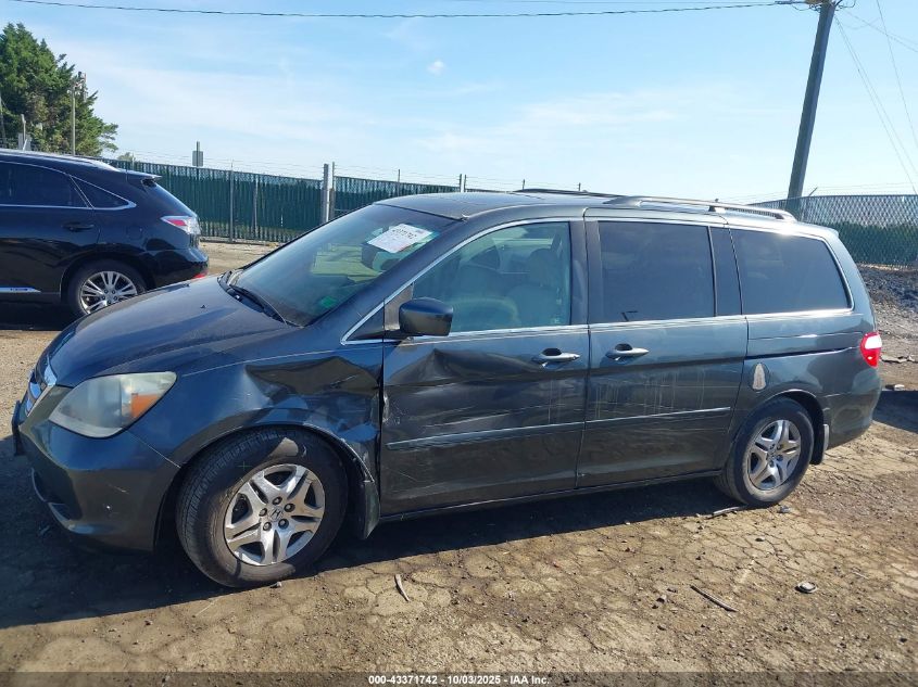 2005 Honda Odyssey Ex-L VIN: 5FNRL38795B089609 Lot: 43371742