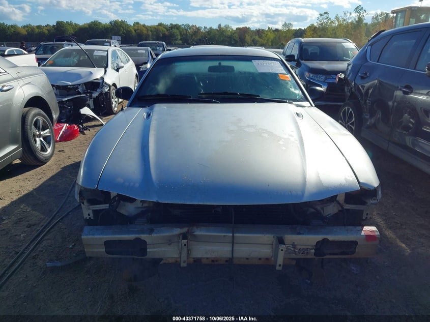 1998 Ford Mustang VIN: 1FAFP4042WF270813 Lot: 43371758