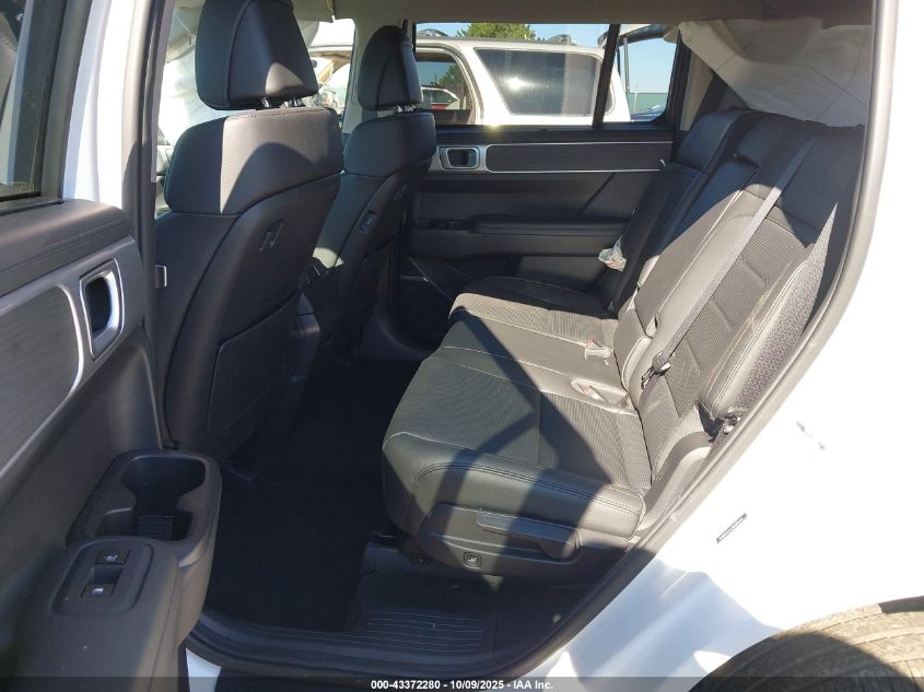 2024 Hyundai Santa Fe Limited VIN: 5NMP4DGL1RH006543 Lot: 43372280