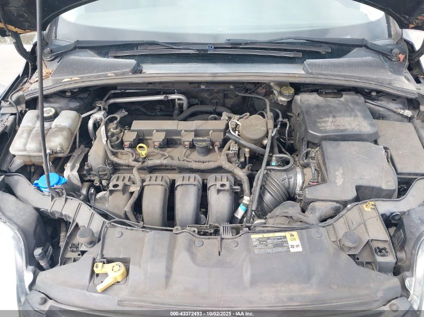 2013 Ford Focus Se VIN: 1FADP3K28DL313904 Lot: 43372493