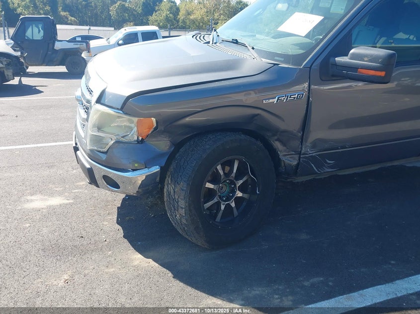 2013 Ford F-150 Xlt VIN: 1FTFW1EF0DKF06532 Lot: 43372681