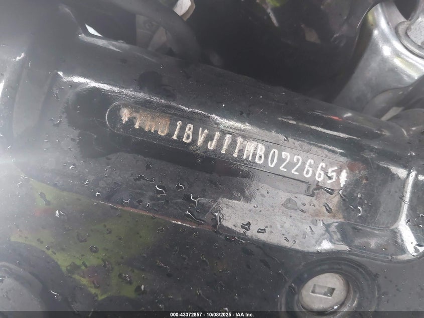 2021 Harley-Davidson Fxst VIN: 1HD1BVJ11MB022665 Lot: 43372857