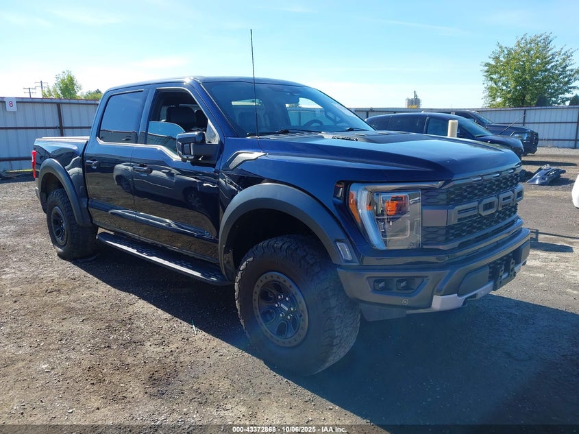 FORD F-150 RAPTOR