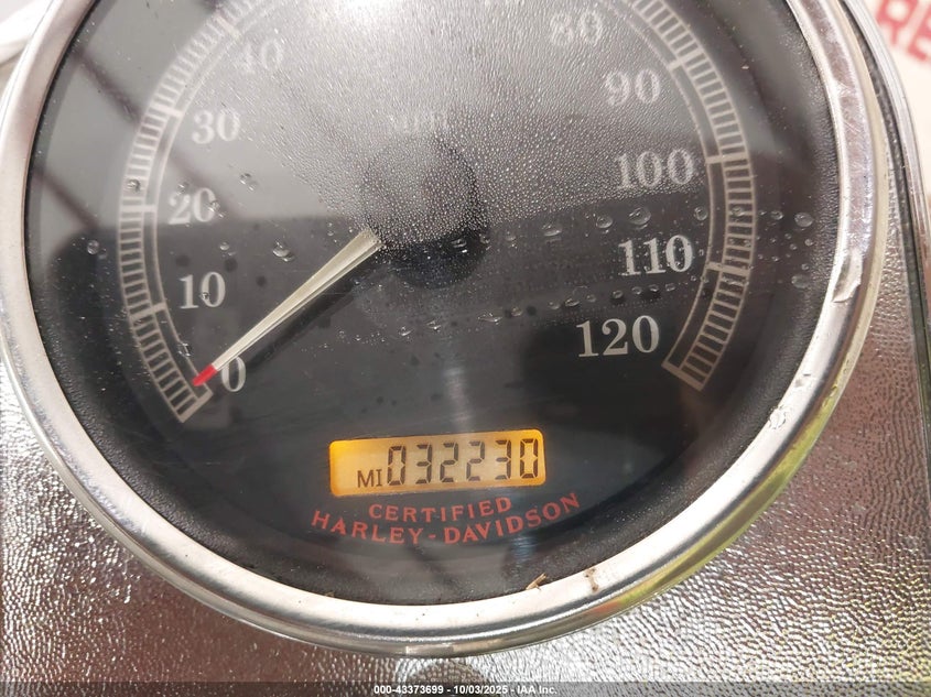 2005 Harley-Davidson Flstci VIN: 1HD1BWB1X5Y033098 Lot: 43373699