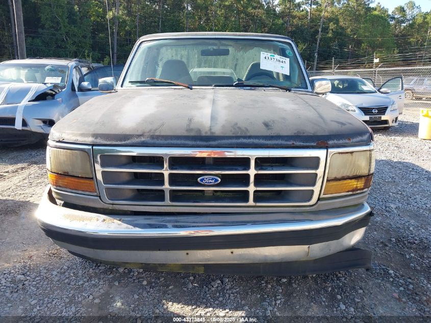 1995 Ford F150 VIN: 1FTEF15N3SNB49670 Lot: 43373845