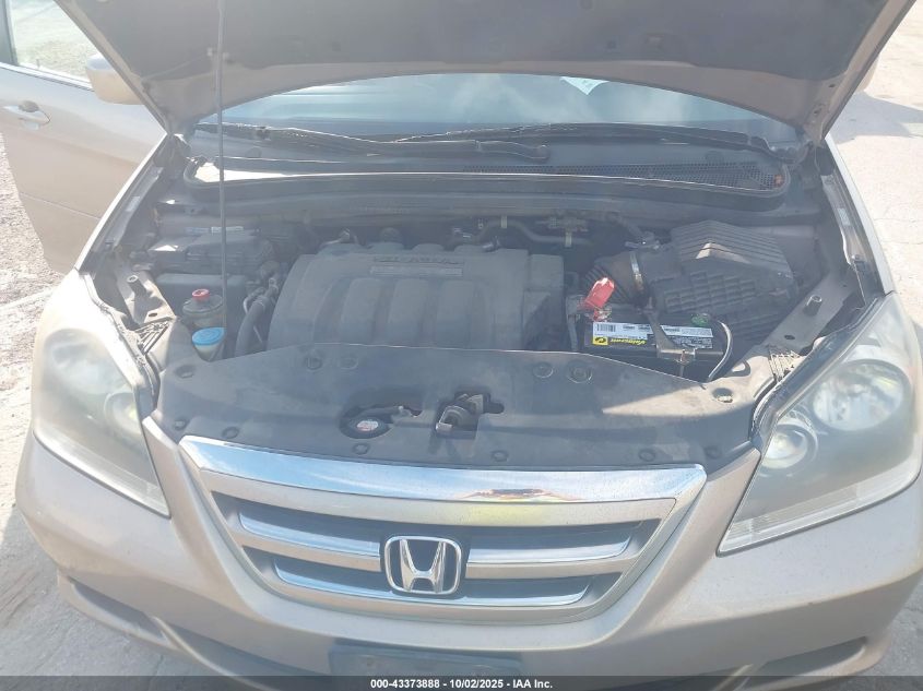 2007 Honda Odyssey Ex-L VIN: 5FNRL38747B434645 Lot: 43373888