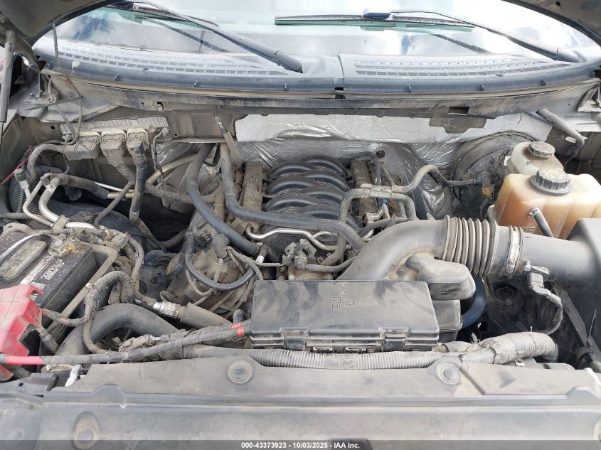 2013 Ford F-150 Xlt VIN: 1FTFX1CF0DFB31699 Lot: 43373923