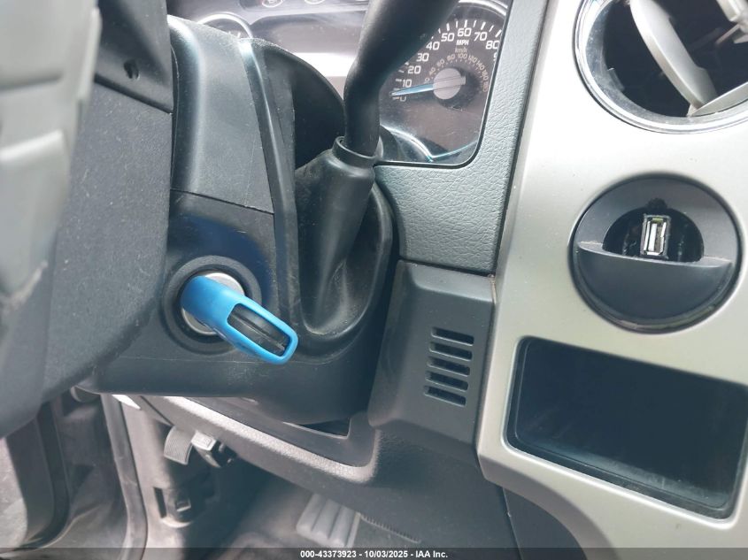 2013 Ford F-150 Xlt VIN: 1FTFX1CF0DFB31699 Lot: 43373923