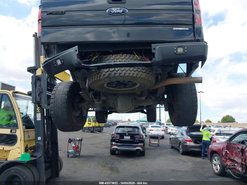 2013 Ford F-150 Xlt VIN: 1FTFX1CF0DFB31699 Lot: 43373923