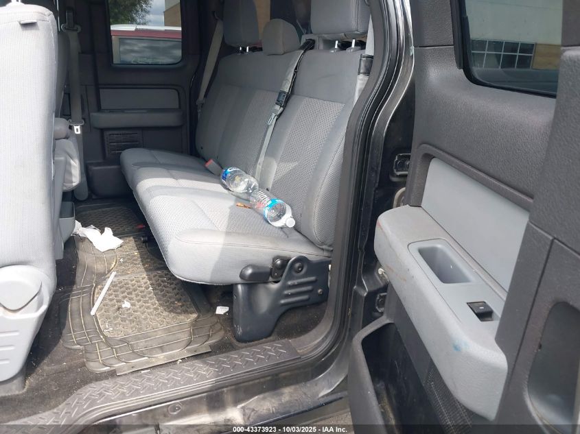 2013 Ford F-150 Xlt VIN: 1FTFX1CF0DFB31699 Lot: 43373923