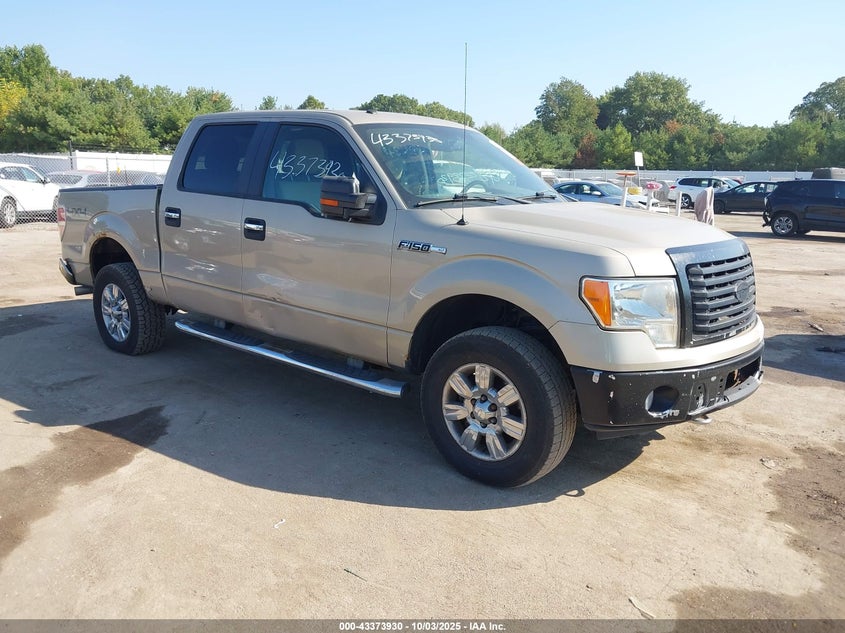 FORD F-150 FX4/HARLEY-DAVIDSON/KING RANCH/LARIAT/PLATINUM/XL/XLT