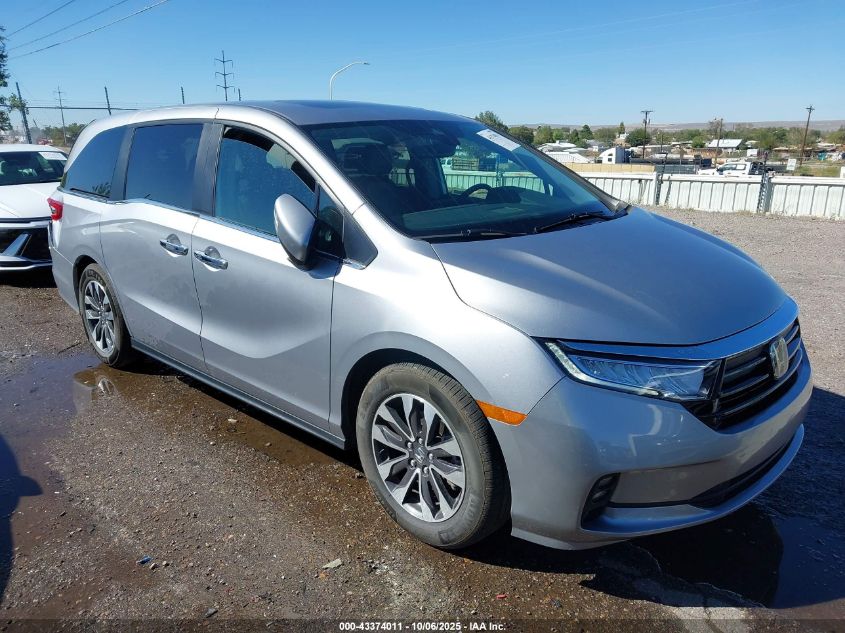 2024 Honda Odyssey Ex-L VIN: 5FNRL6H68RB050525 Lot: 43374011
