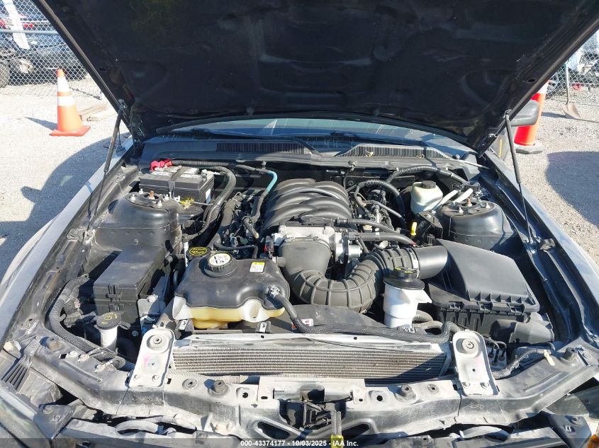 2005 Ford Mustang Gt Deluxe/Gt Premium VIN: 1ZVFT82H955147685 Lot: 43374177