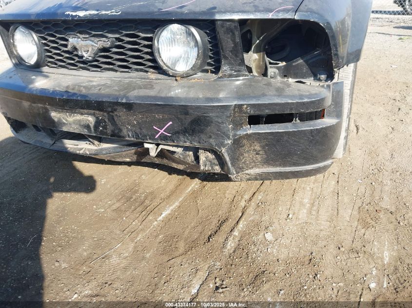 2005 Ford Mustang Gt Deluxe/Gt Premium VIN: 1ZVFT82H955147685 Lot: 43374177