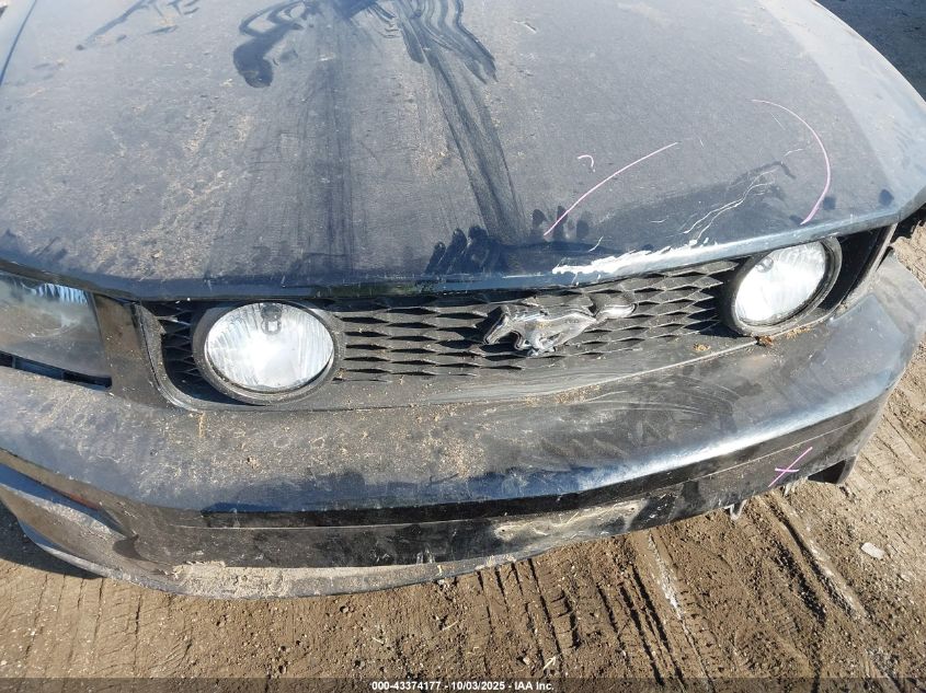 2005 Ford Mustang Gt Deluxe/Gt Premium VIN: 1ZVFT82H955147685 Lot: 43374177