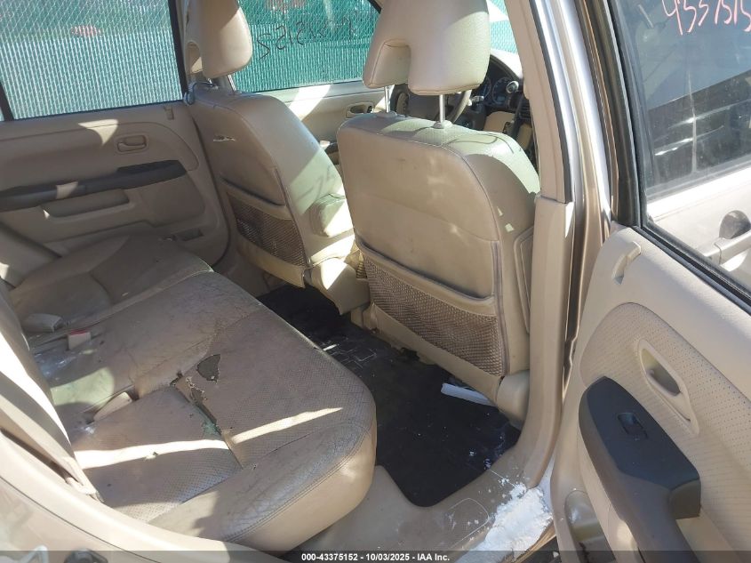 2005 Honda Cr-V Se VIN: JHLRD78935C025443 Lot: 43375152