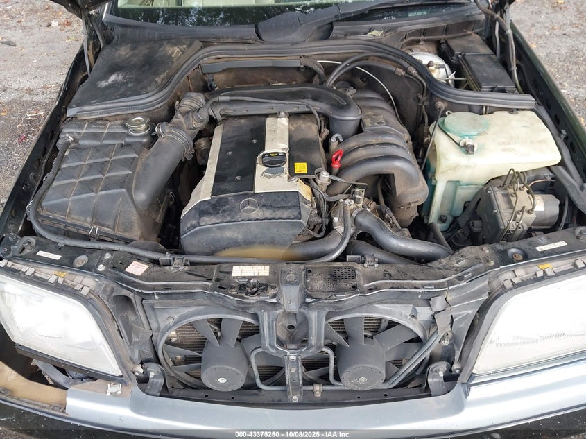 1996 Mercedes-Benz C 280 VIN: WDBHA28E4TF380228 Lot: 43375250