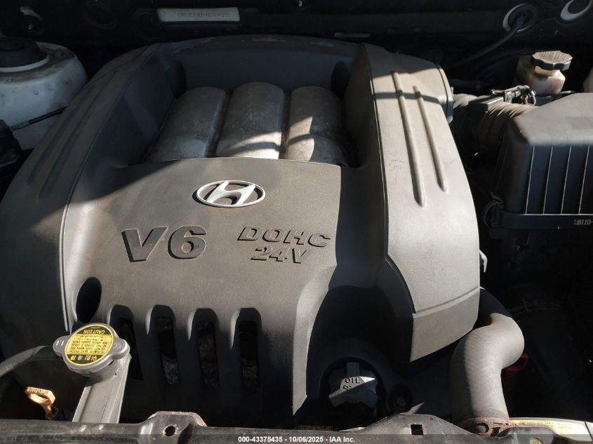 2004 Hyundai Santa Fe Gls VIN: KM8SC73DX4U769395 Lot: 43375435