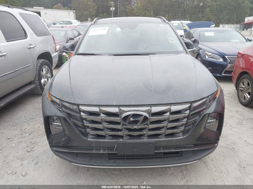 2023 Hyundai Tucson Limited VIN: 5NMJECAEXPH201707 Lot: 43375528