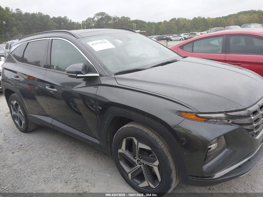 2023 Hyundai Tucson Limited VIN: 5NMJECAEXPH201707 Lot: 43375528