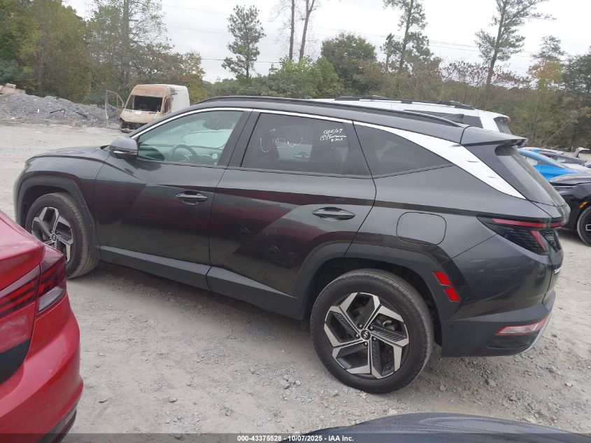 2023 Hyundai Tucson Limited VIN: 5NMJECAEXPH201707 Lot: 43375528