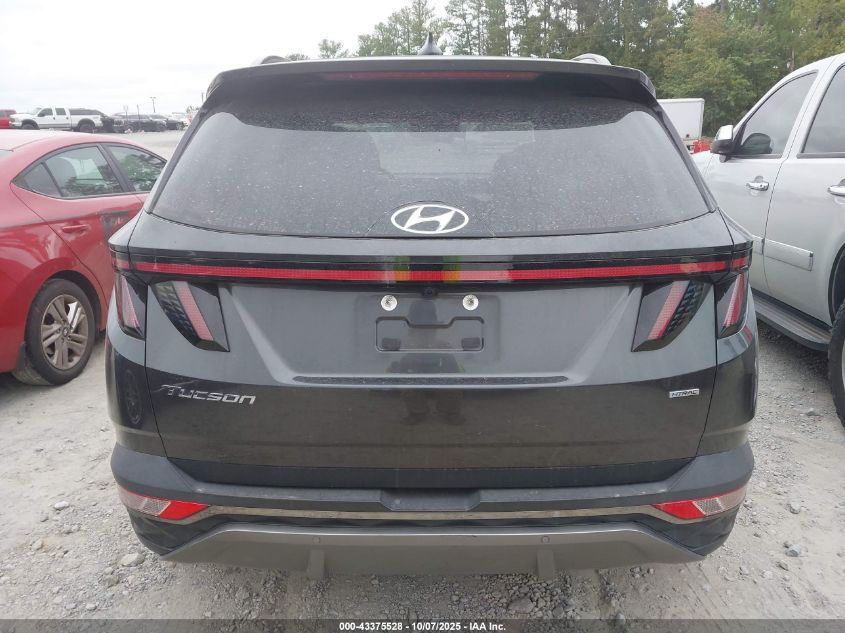 2023 Hyundai Tucson Limited VIN: 5NMJECAEXPH201707 Lot: 43375528