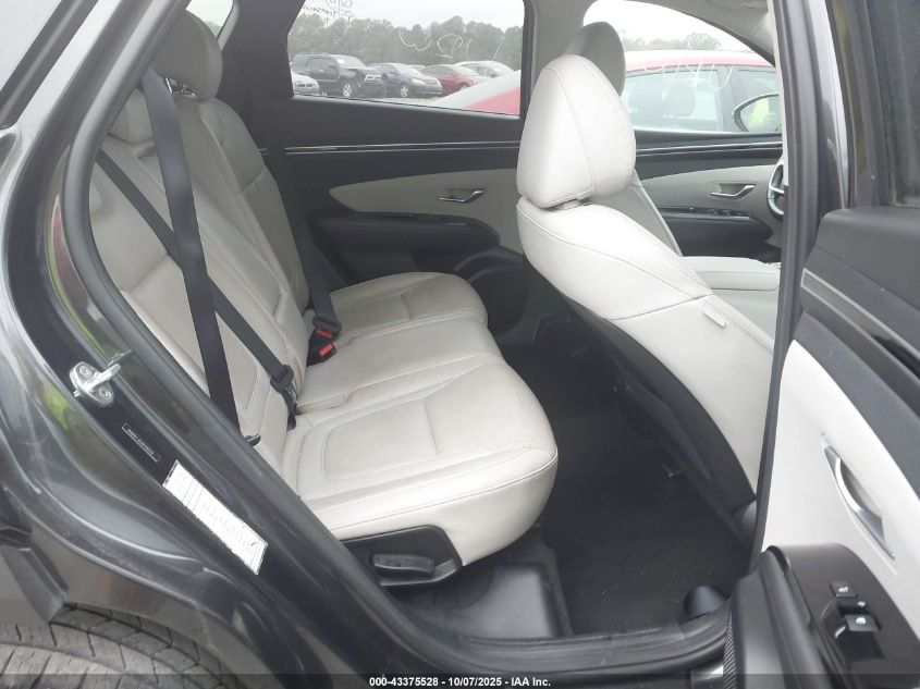 2023 Hyundai Tucson Limited VIN: 5NMJECAEXPH201707 Lot: 43375528
