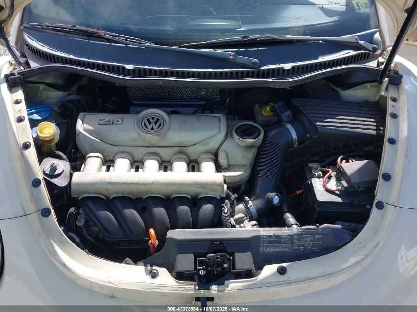 2006 Volkswagen New Beetle 2.5 VIN: 3VWSF31Y56M317689 Lot: 43375584