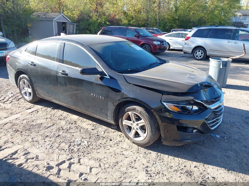 CHEVROLET MALIBU 1LS