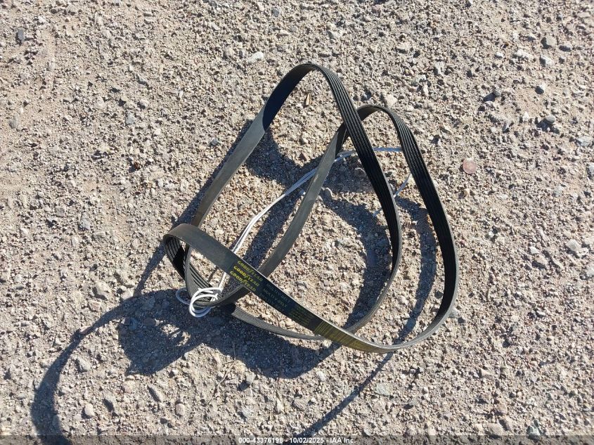 2008 Honda Odyssey Ex-L VIN: 5FNRL38608B034476 Lot: 43376198